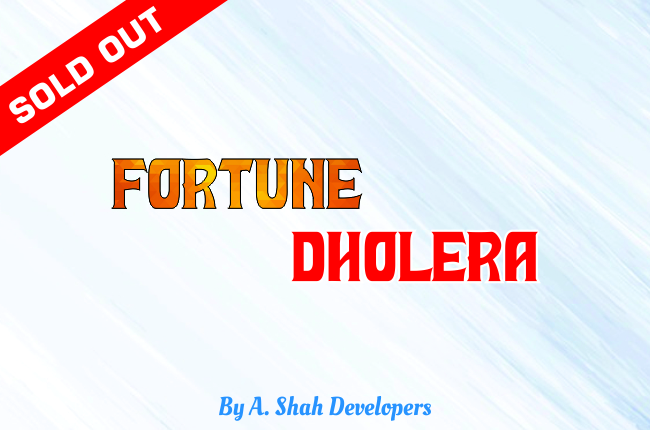 Fortune Dholera